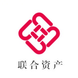 聯(lián)合資產(chǎn)